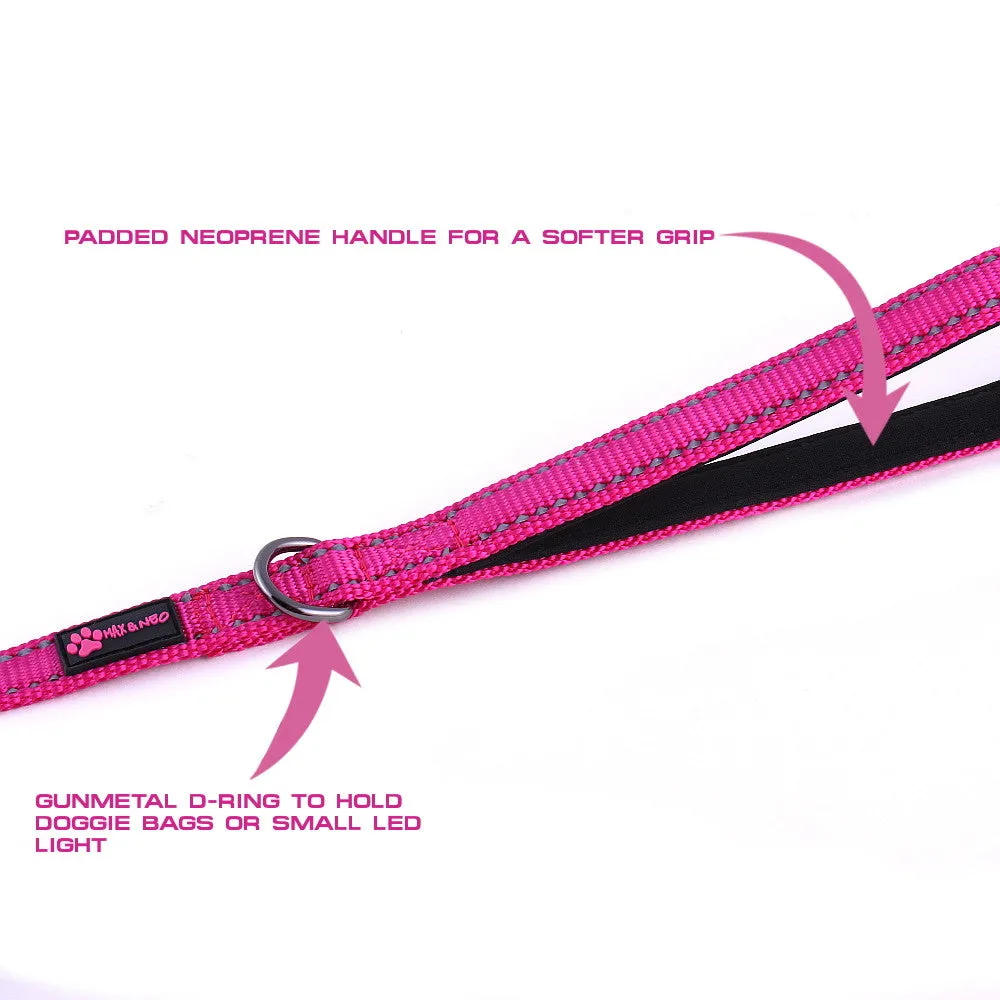 6 FT x 5/8" Wide Small Dog Nylon Reflective Dog Leash