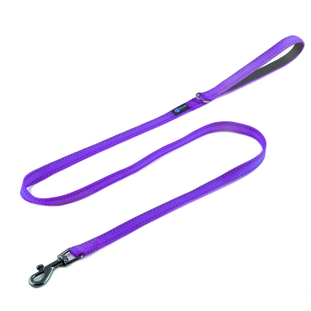6 FT x 5/8" Wide Small Dog Nylon Reflective Dog Leash