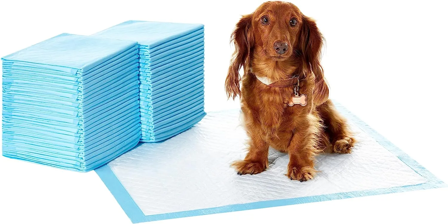 Amazon Basics Dog and Puppy Pee Pads with Leak-Proof Quick-Dry Design for Potty Training, Standard Absorbency, Regular Size, 22 x 22 Inches, Pack of 100, Blue & White
