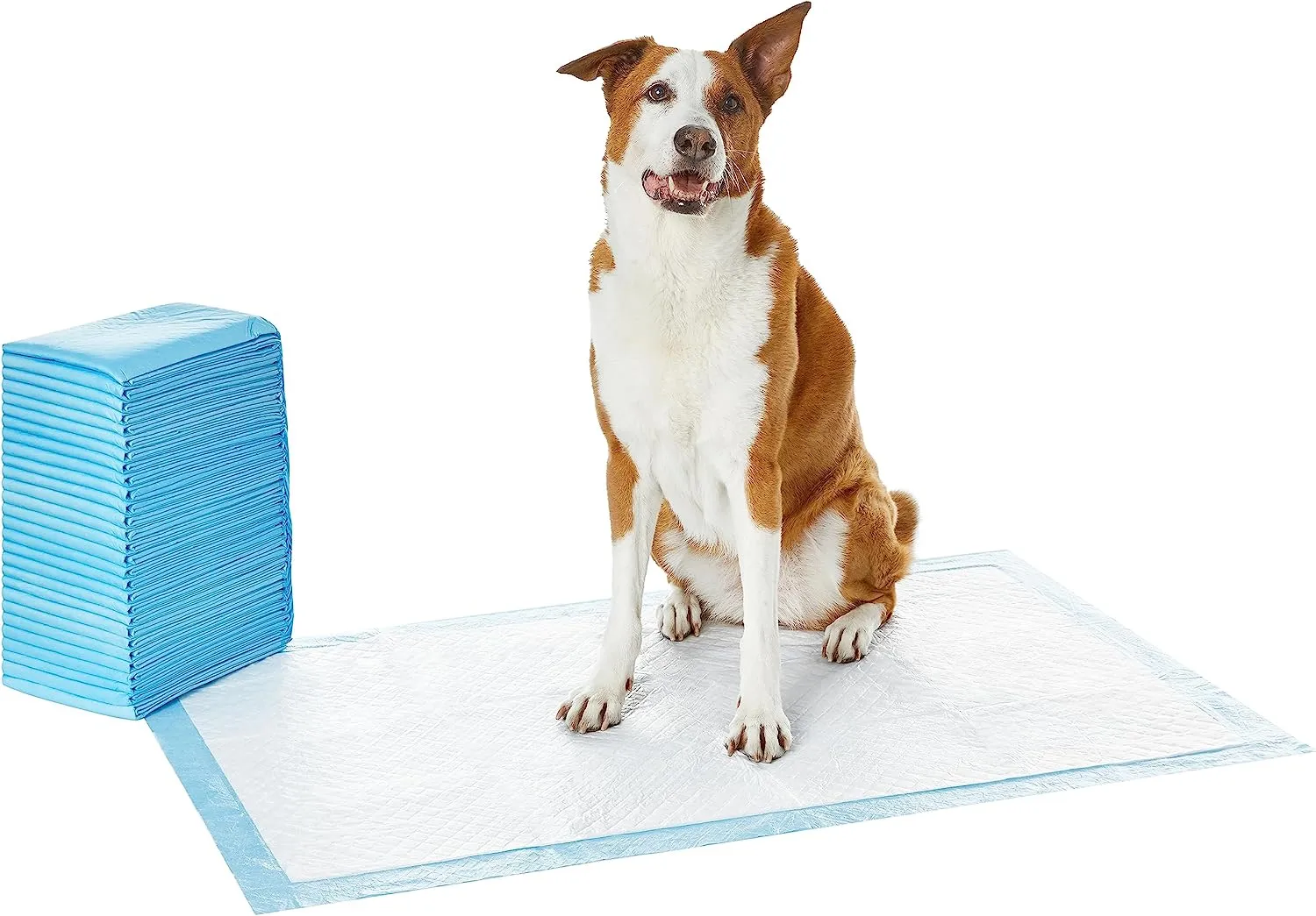 Amazon Basics Dog and Puppy Pee Pads with Leak-Proof Quick-Dry Design for Potty Training, Standard Absorbency, Regular Size, 22 x 22 Inches, Pack of 100, Blue & White