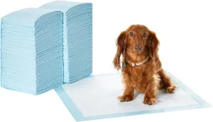 Amazon Basics Dog and Puppy Pee Pads with Leak-Proof Quick-Dry Design for Potty Training, Standard Absorbency, Regular Size, 22 x 22 Inches, Pack of 100, Blue & White