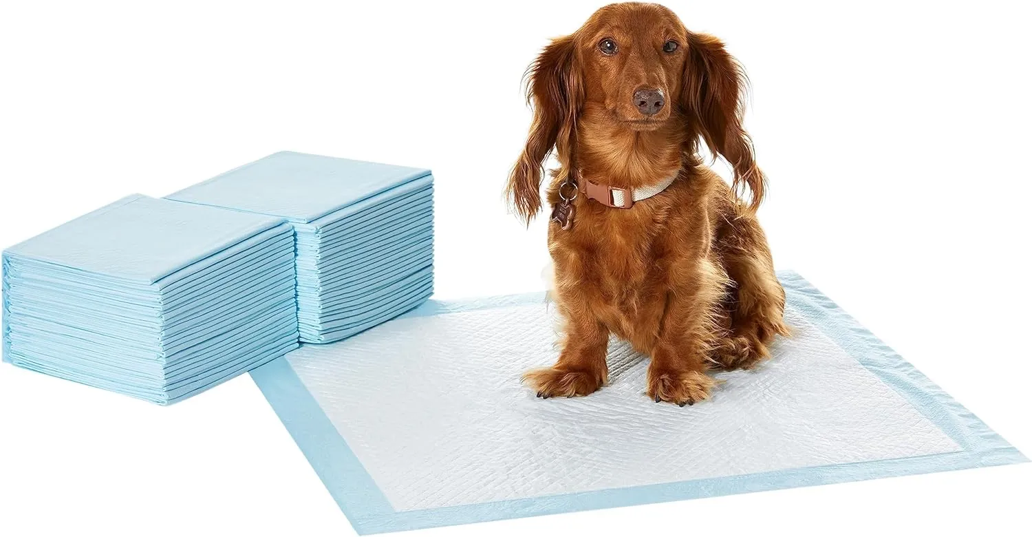 Amazon Basics Dog and Puppy Pee Pads with Leak-Proof Quick-Dry Design for Potty Training, Standard Absorbency, Regular Size, 22 x 22 Inches, Pack of 100, Blue & White