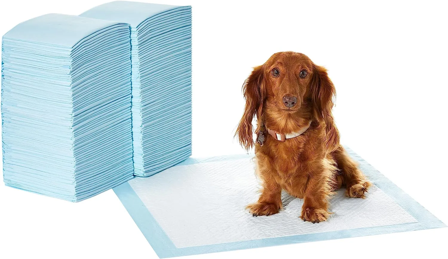 Amazon Basics Dog and Puppy Pee Pads with Leak-Proof Quick-Dry Design for Potty Training, Standard Absorbency, Regular Size, 22 x 22 Inches, Pack of 100, Blue & White