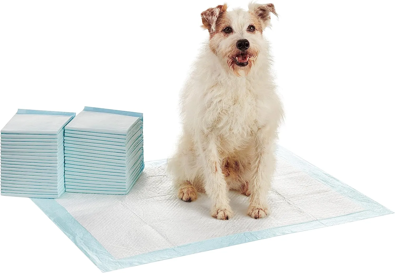 Amazon Basics Dog and Puppy Pee Pads with Leak-Proof Quick-Dry Design for Potty Training, Standard Absorbency, Regular Size, 22 x 22 Inches, Pack of 100, Blue & White