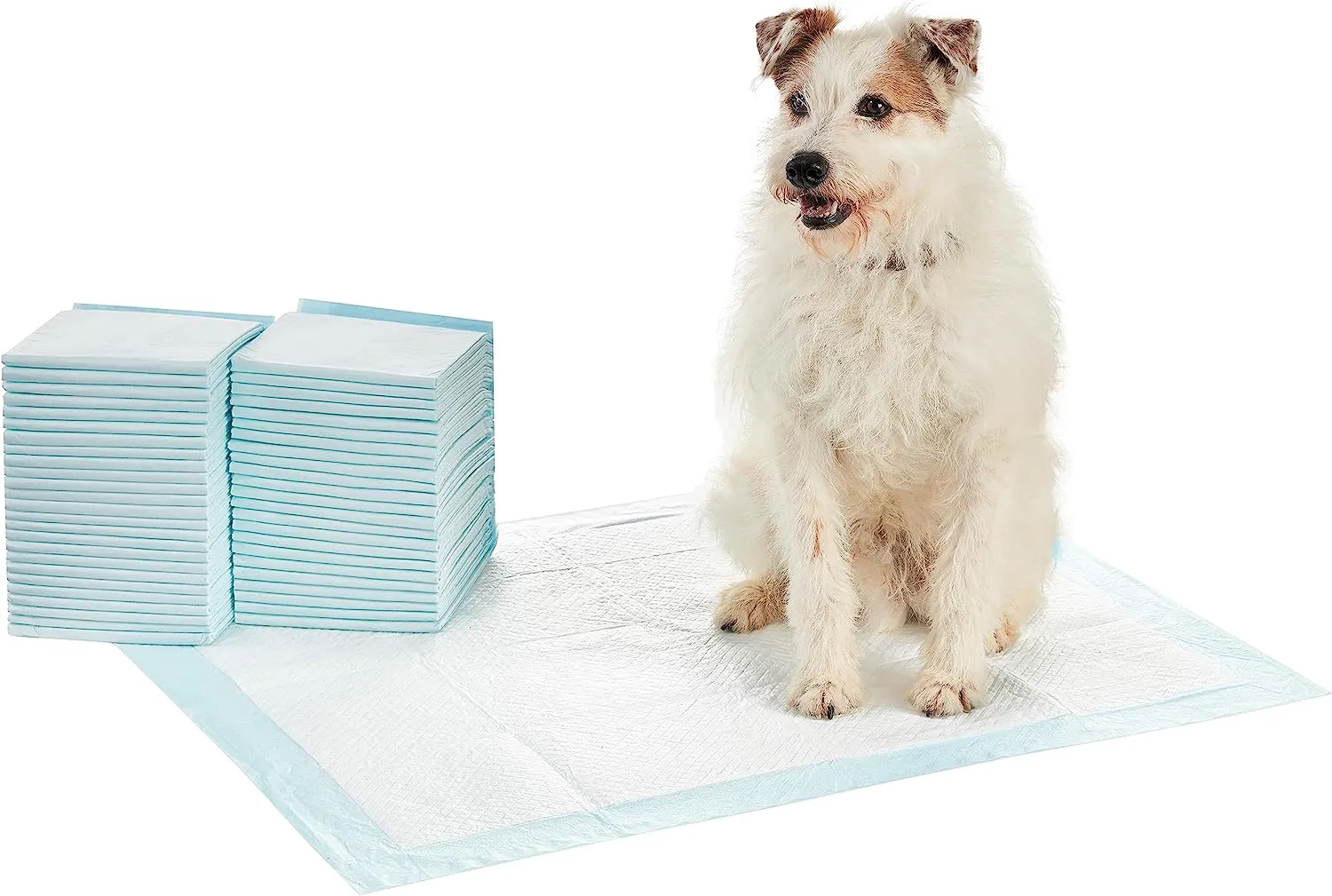 Amazon Basics Dog and Puppy Pee Pads with Leak-Proof Quick-Dry Design for Potty Training, Standard Absorbency, Regular Size, 22 x 22 Inches, Pack of 100, Blue & White