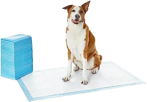 Amazon Basics Dog and Puppy Pee Pads with Leak-Proof Quick-Dry Design for Potty Training, Standard Absorbency, Regular Size, 22 x 22 Inches, Pack of 100, Blue & White