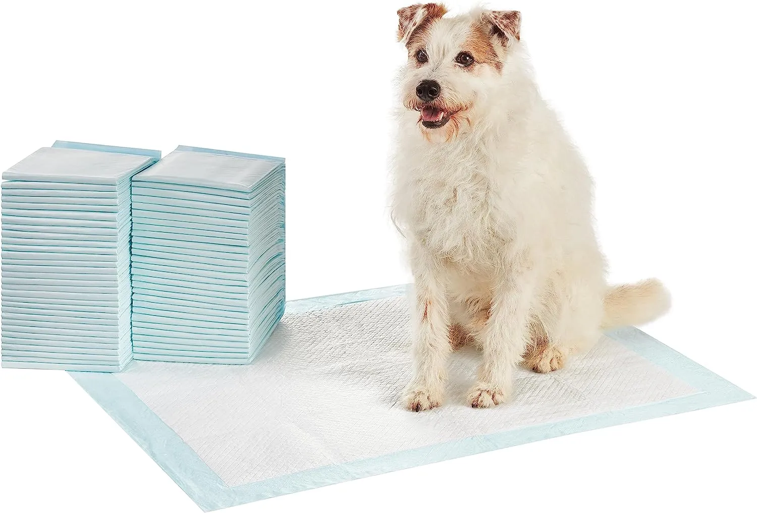 Amazon Basics Dog and Puppy Pee Pads with Leak-Proof Quick-Dry Design for Potty Training, Standard Absorbency, Regular Size, 22 x 22 Inches, Pack of 100, Blue & White