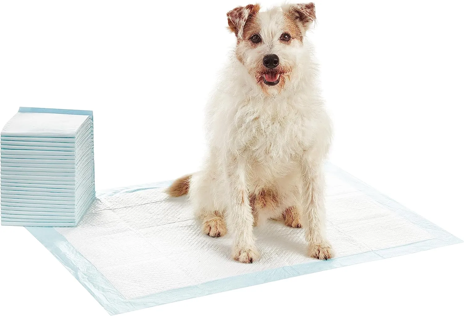 Amazon Basics Dog and Puppy Pee Pads with Leak-Proof Quick-Dry Design for Potty Training, Standard Absorbency, Regular Size, 22 x 22 Inches, Pack of 100, Blue & White