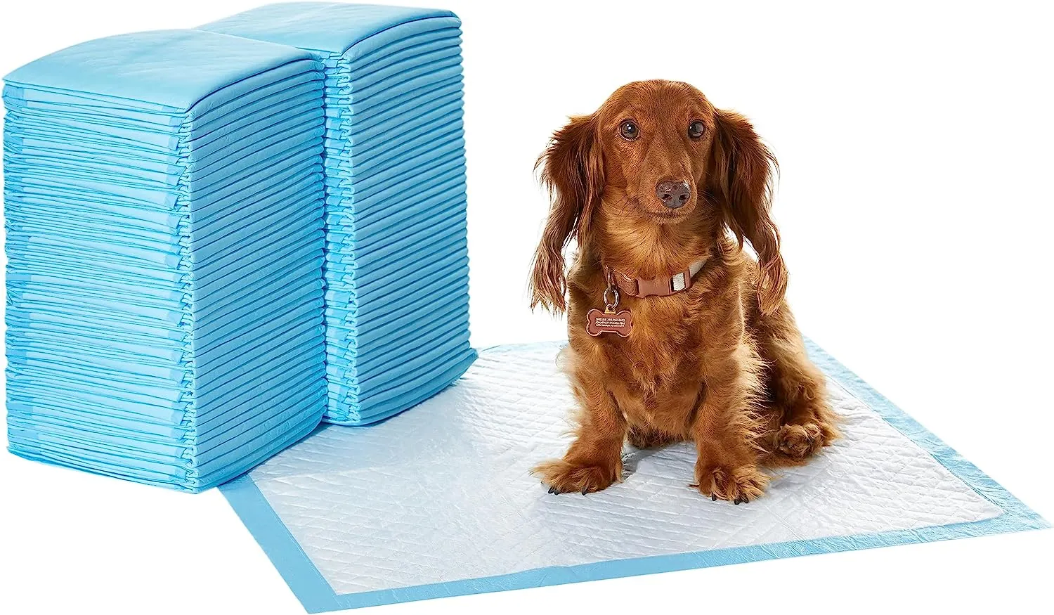 Amazon Basics Dog and Puppy Pee Pads with Leak-Proof Quick-Dry Design for Potty Training, Standard Absorbency, Regular Size, 22 x 22 Inches, Pack of 100, Blue & White