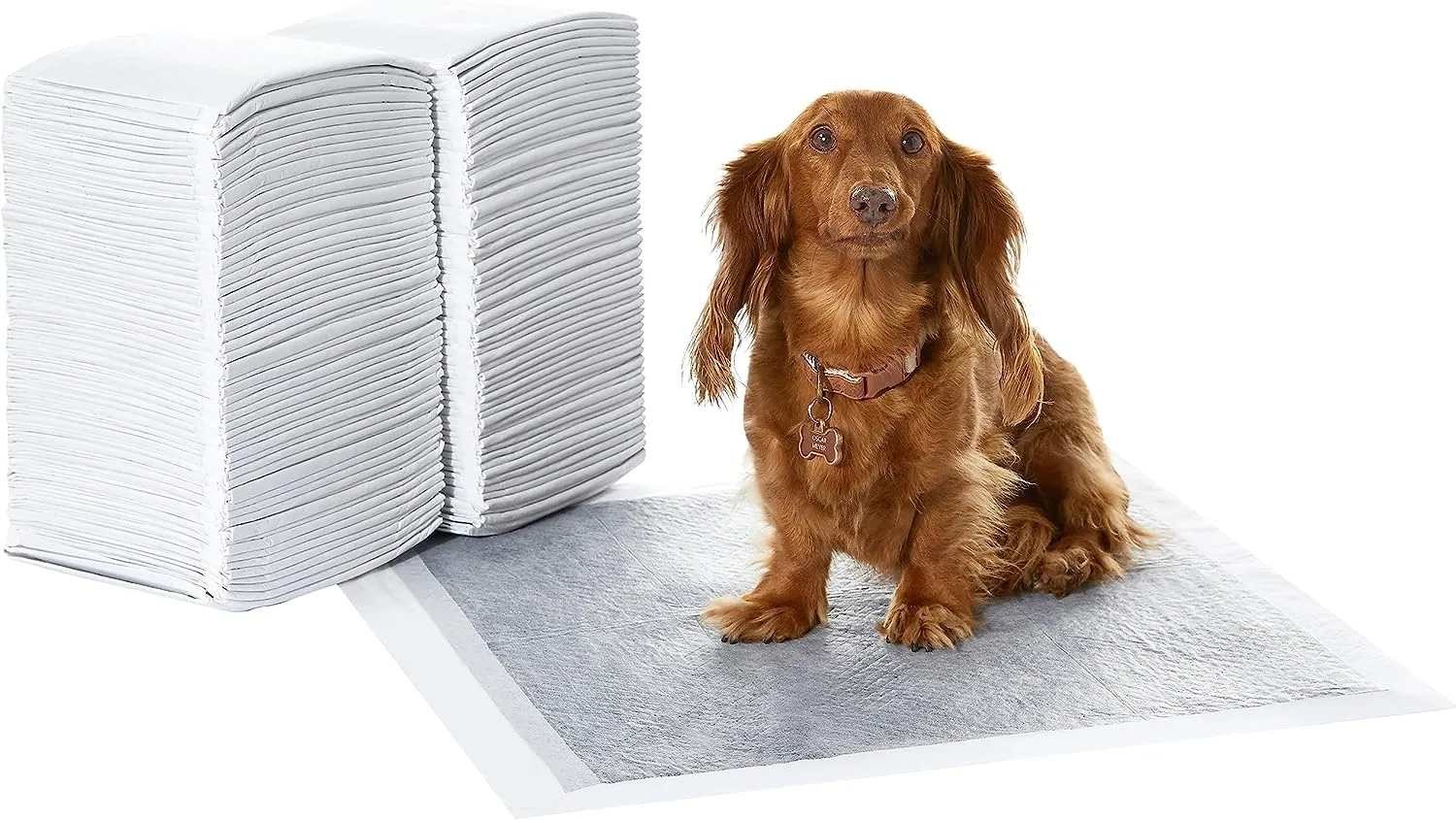 Amazon Basics Dog and Puppy Pee Pads with Leak-Proof Quick-Dry Design for Potty Training, Standard Absorbency, Regular Size, 22 x 22 Inches, Pack of 100, Blue & White
