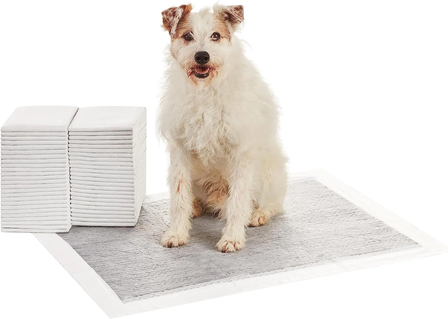 Amazon Basics Dog and Puppy Pee Pads with Leak-Proof Quick-Dry Design for Potty Training, Standard Absorbency, Regular Size, 22 x 22 Inches, Pack of 100, Blue & White