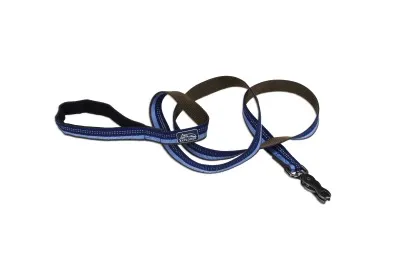 Coastal K9 Explorer Reflective Dog Leash