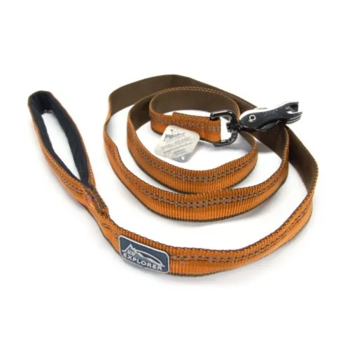 Coastal K9 Explorer Reflective Dog Leash