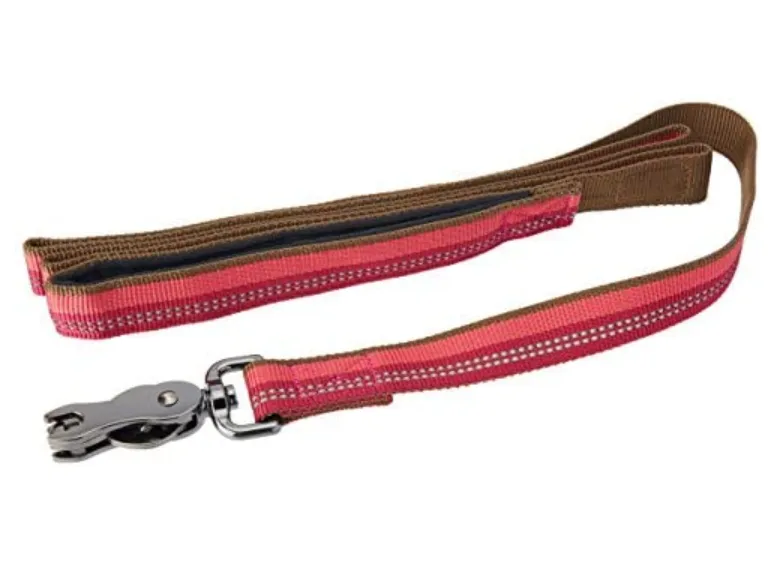 Coastal K9 Explorer Reflective Dog Leash