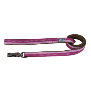 Coastal K9 Explorer Reflective Dog Leash