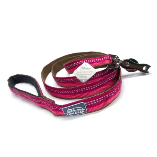 Coastal K9 Explorer Reflective Dog Leash