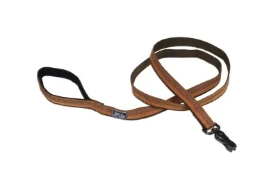Coastal K9 Explorer Reflective Dog Leash