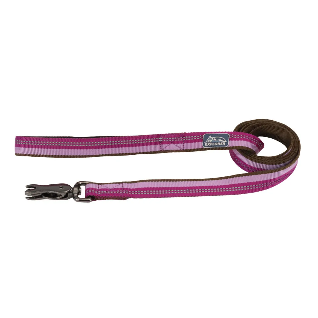 Coastal K9 Explorer Reflective Dog Leash