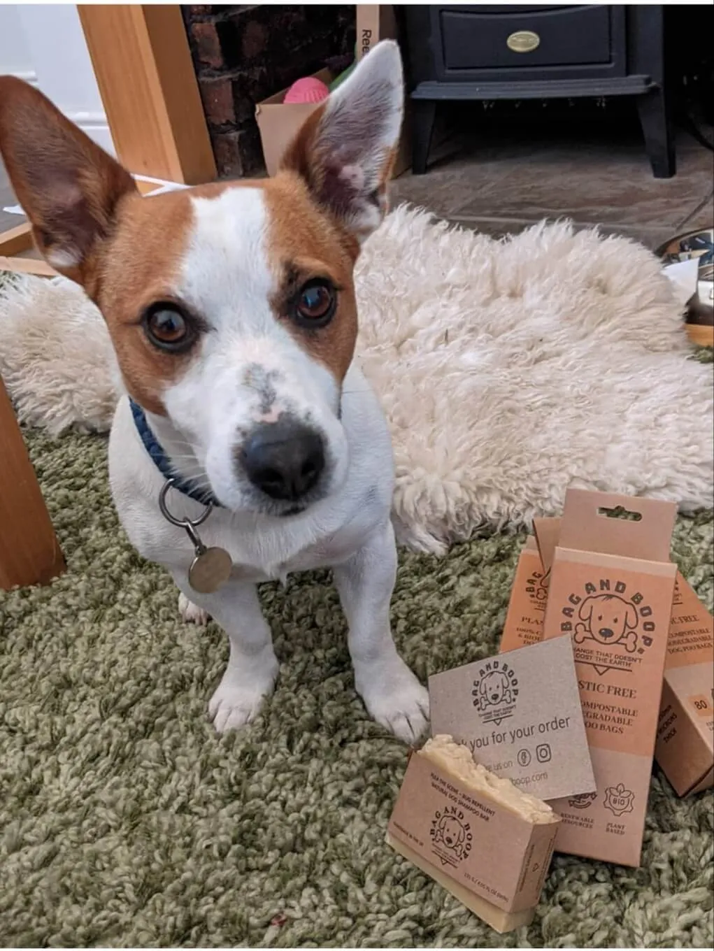 Compostable Dog Poop Bags (80)
