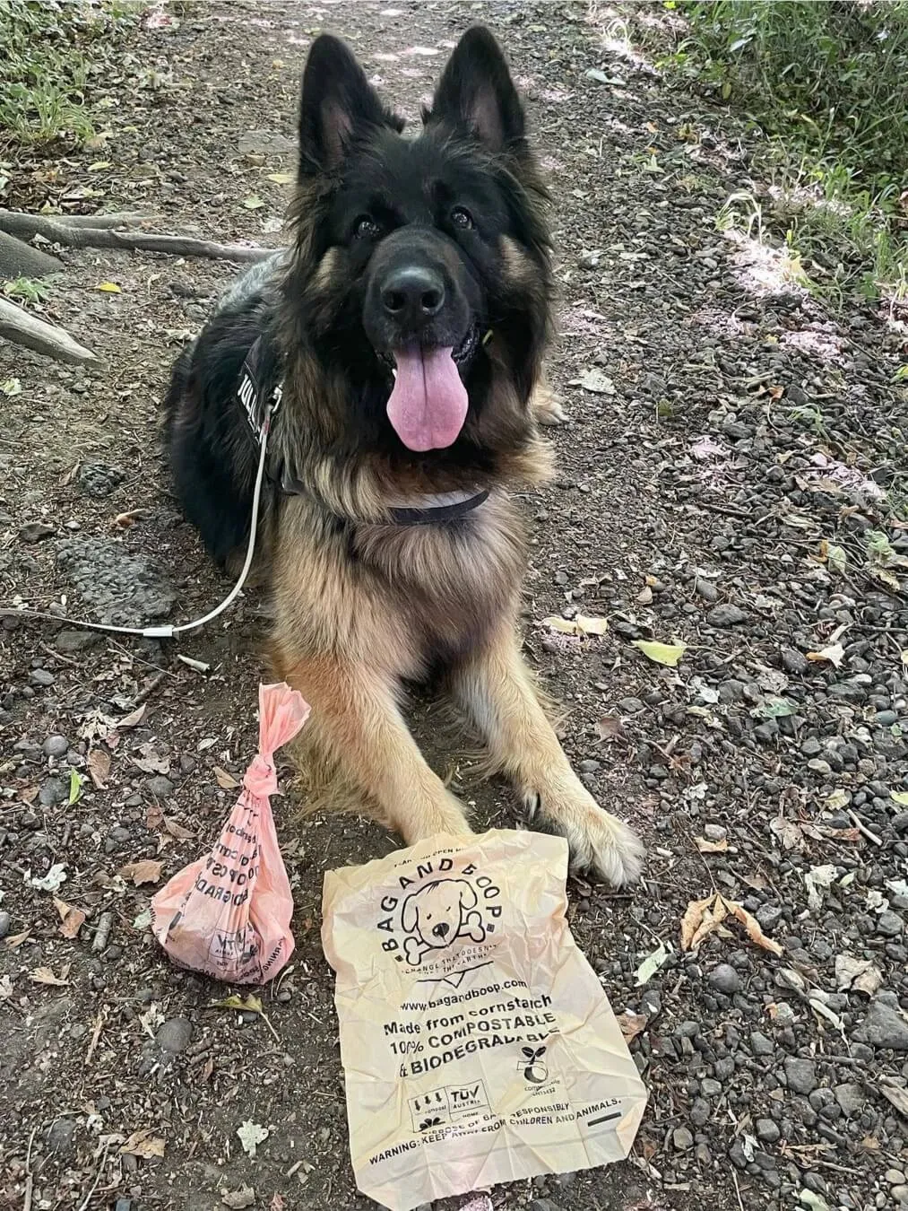 Compostable Dog Poop Bags (80)
