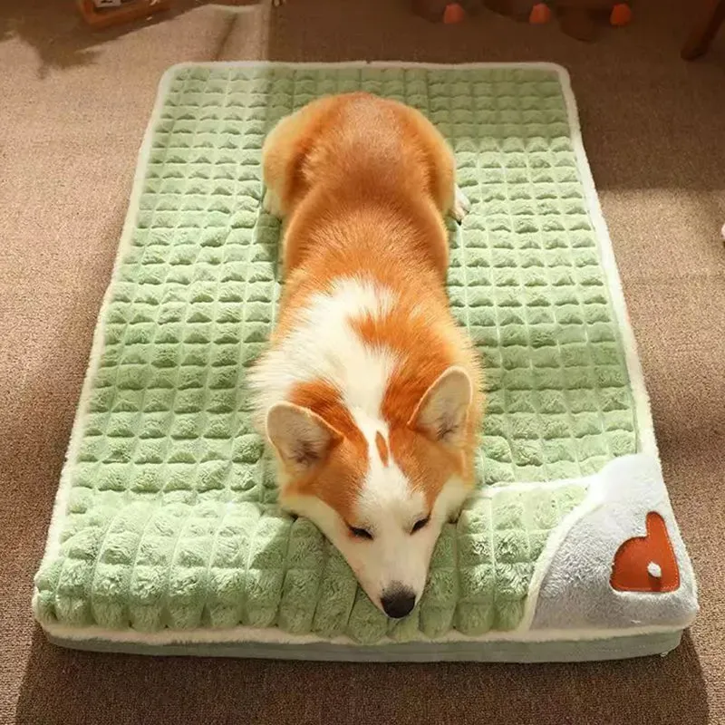 Cozy Pup Retreat