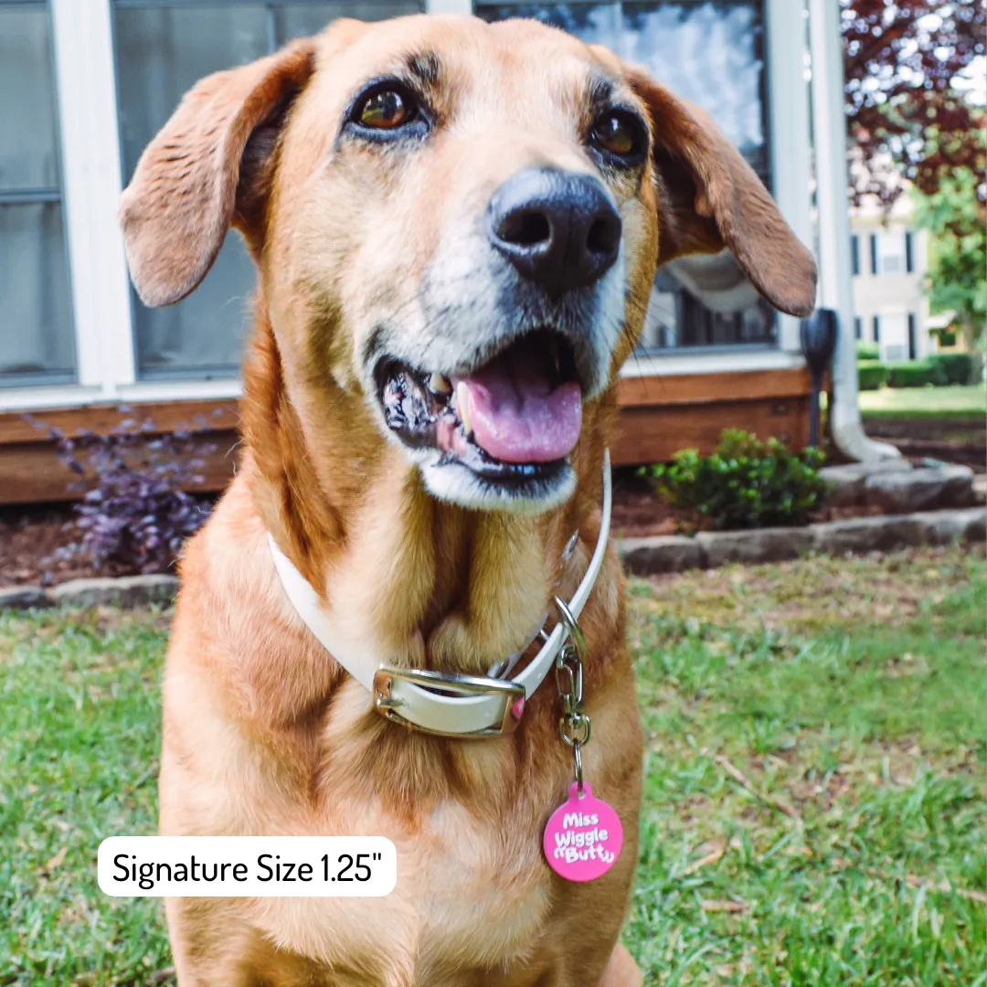 Dare to Test My Paws of Fury Funny Dog Tag