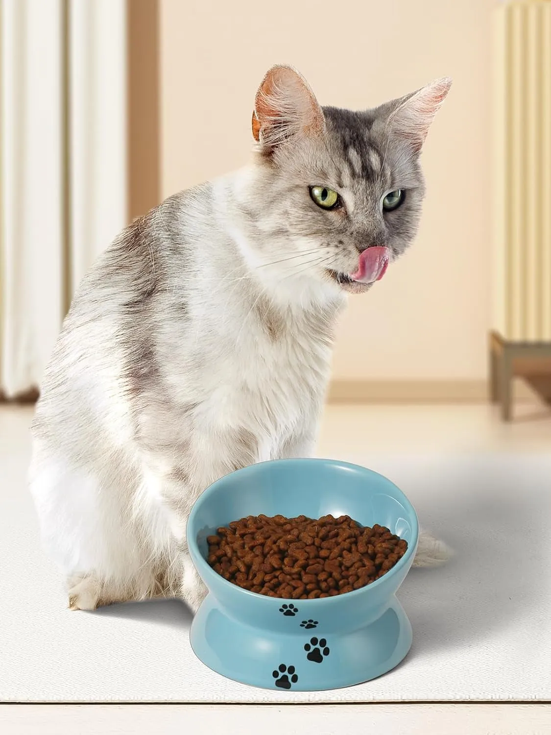 Elevated Cat Food Bowl - Meet Purrfect Posture! 🐱🍽️
