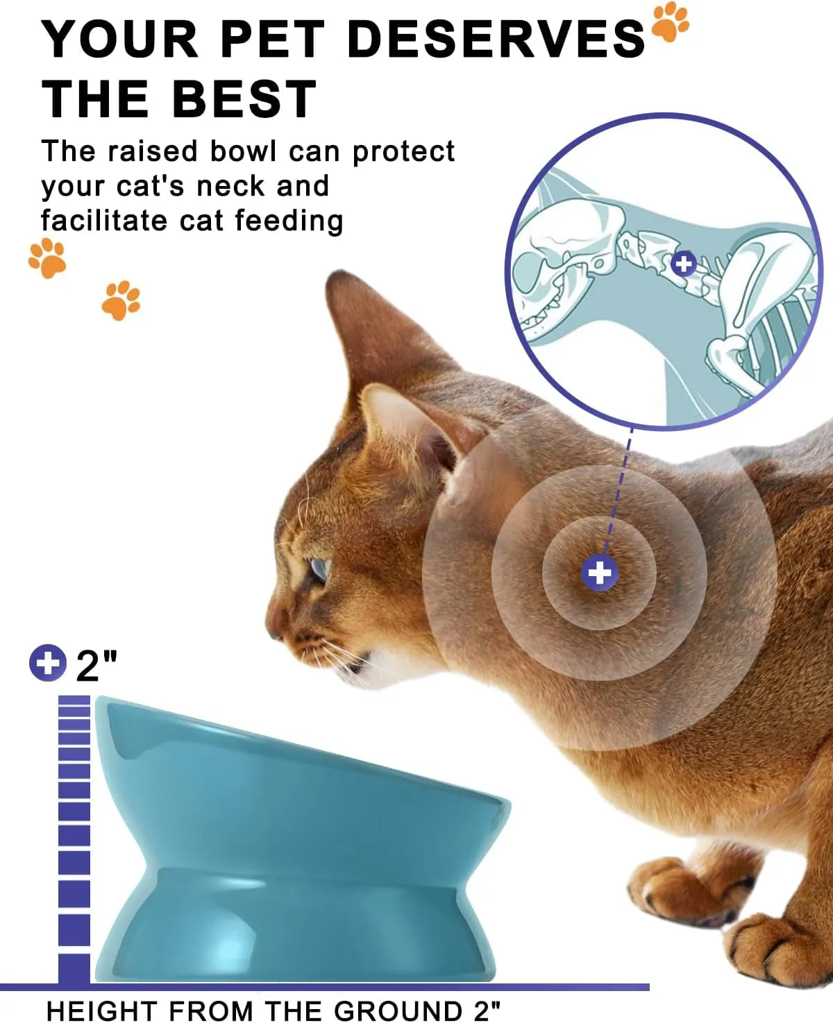 Elevated Cat Food Bowl - Meet Purrfect Posture! 🐱🍽️