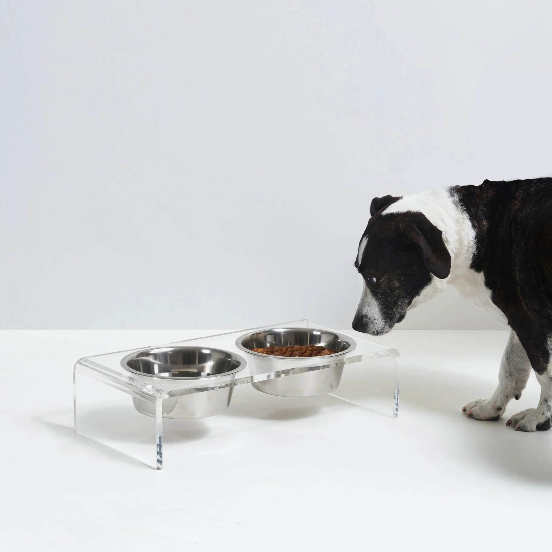 ELEVATED PET FEEDER 1 QUART (CLEAR)