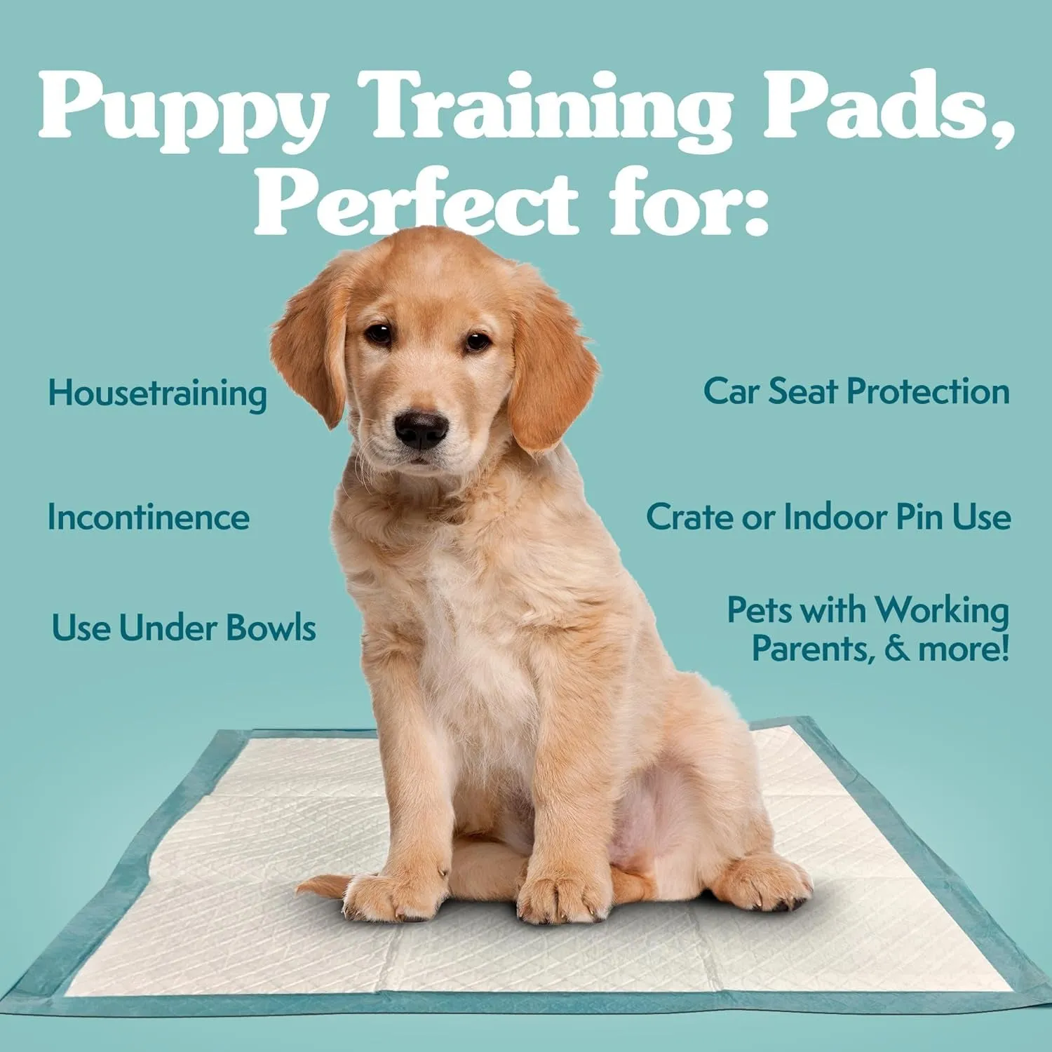 Extra Large Pee Pads for Dogs, XL Puppy Potty Training Pee Pad, 6 Layers Thick, Instashield Absorbent, Attracts Dogs, Leak Proof, Odor Neutralizing, Disposable, XLARGE 28"X30", 100Ct