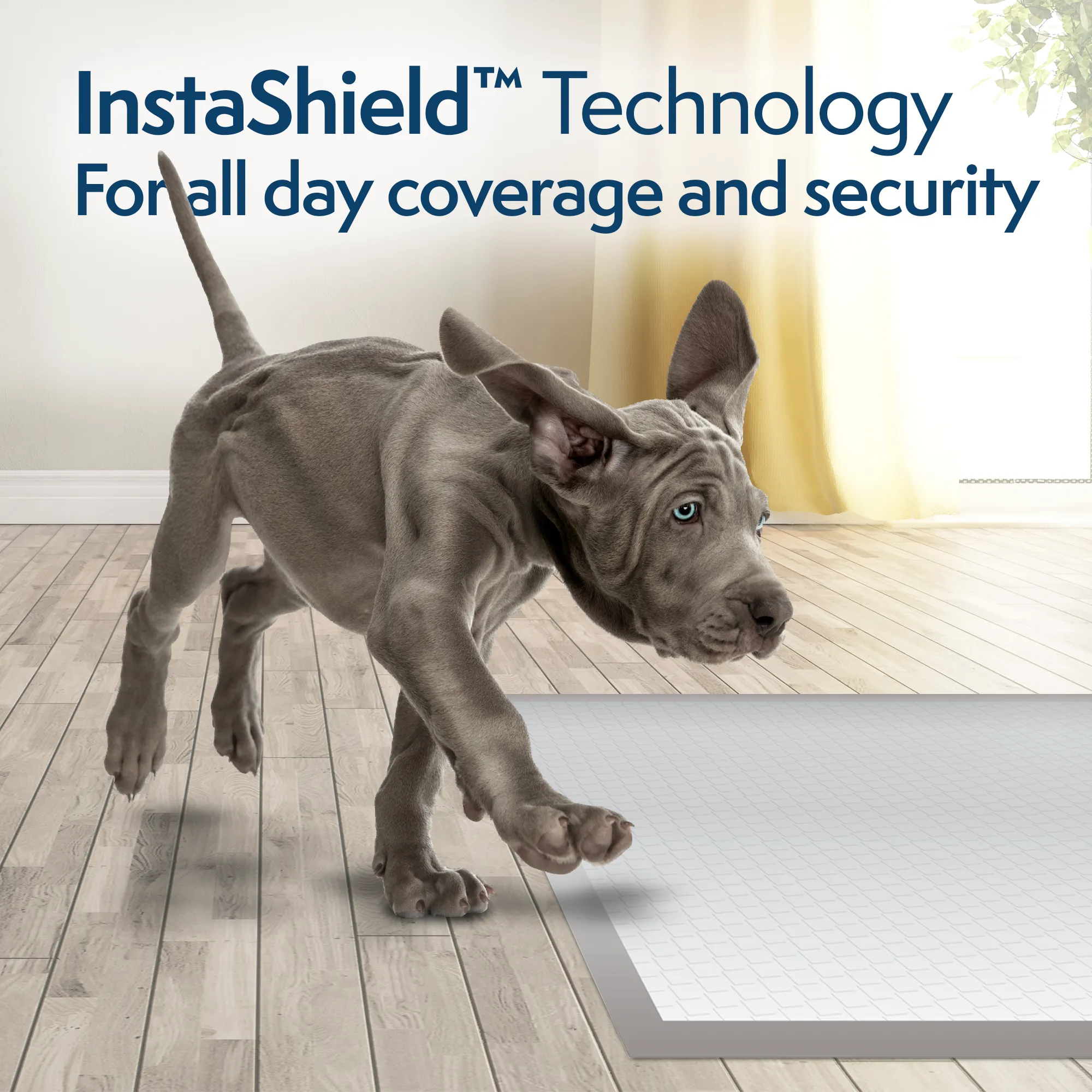 FragranceSmart Disposable Training Dog Pads