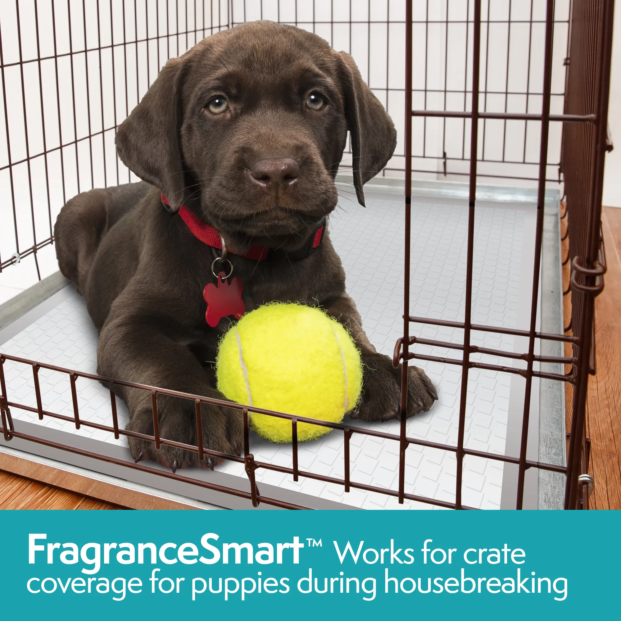 FragranceSmart Disposable Training Dog Pads