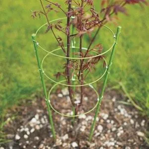 Grow1 Foldable Plant Support Cage 4'