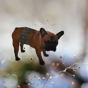 Male Dog Belly Band Wrap - Playful Dog Print Style #2