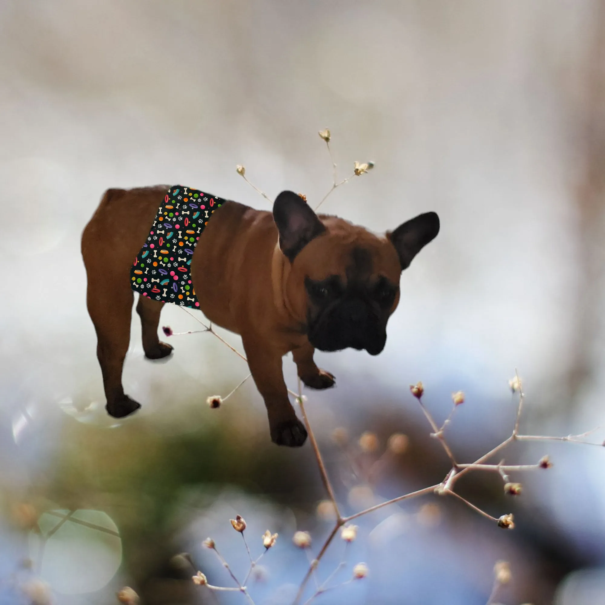 Male Dog Belly Band Wrap - Playful Dog Print Style #2
