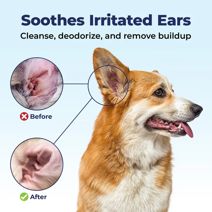 Oticbliss™ Advanced Cleaning Ear Wipes - VetPass Free Sample
