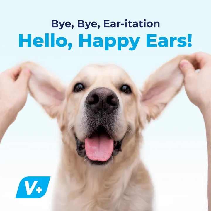 Oticbliss™ Advanced Cleaning Ear Wipes - VetPass Free Sample