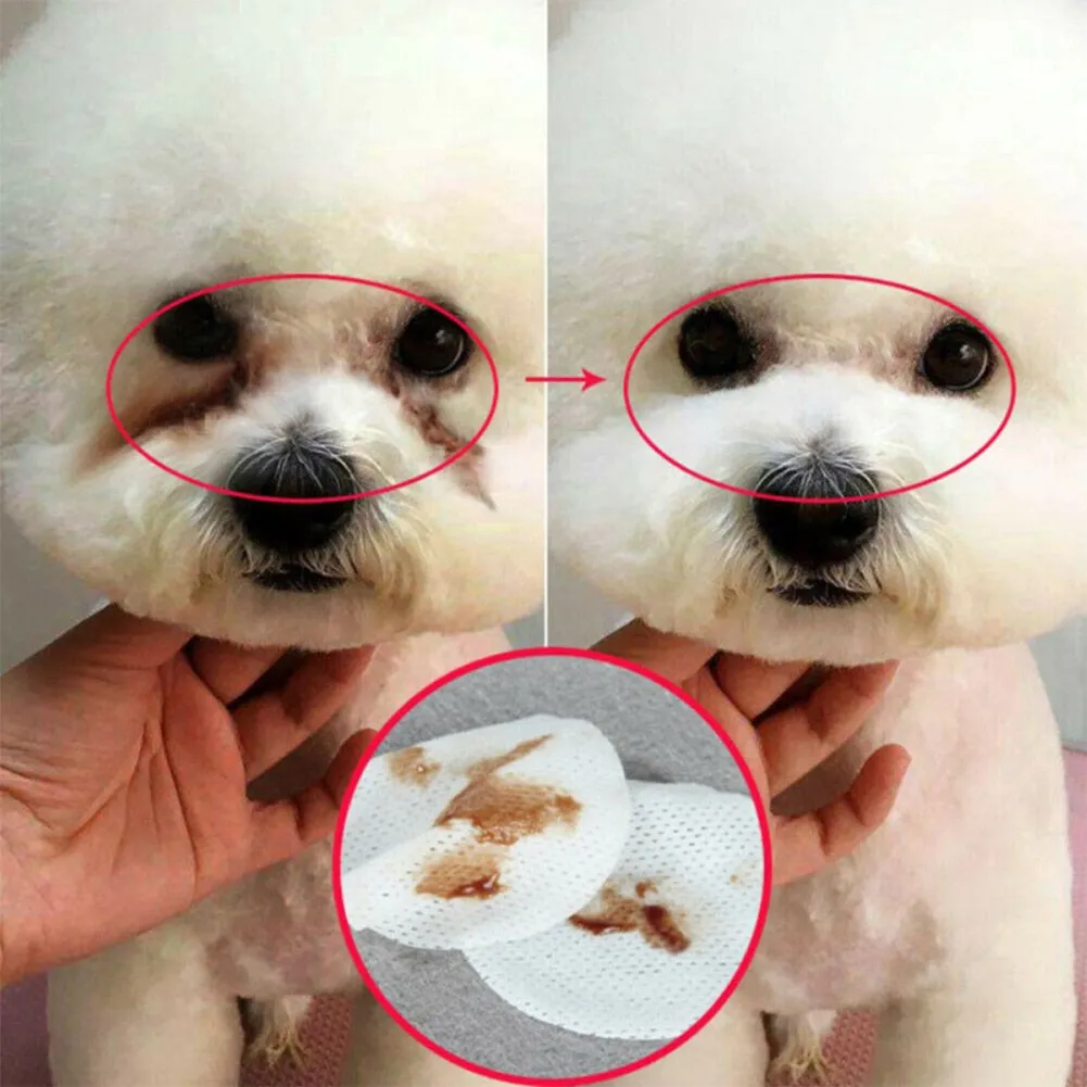 Pat and Pet Emporium | Pet Grooming | Pet Wipes For Ear and Eyes
