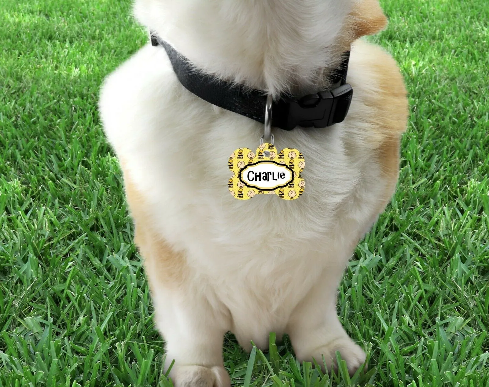 Pet ID Tag Peanuts Charlie Brown Personalized Custom Double Sided Pet Tag name Petcollarshandmade