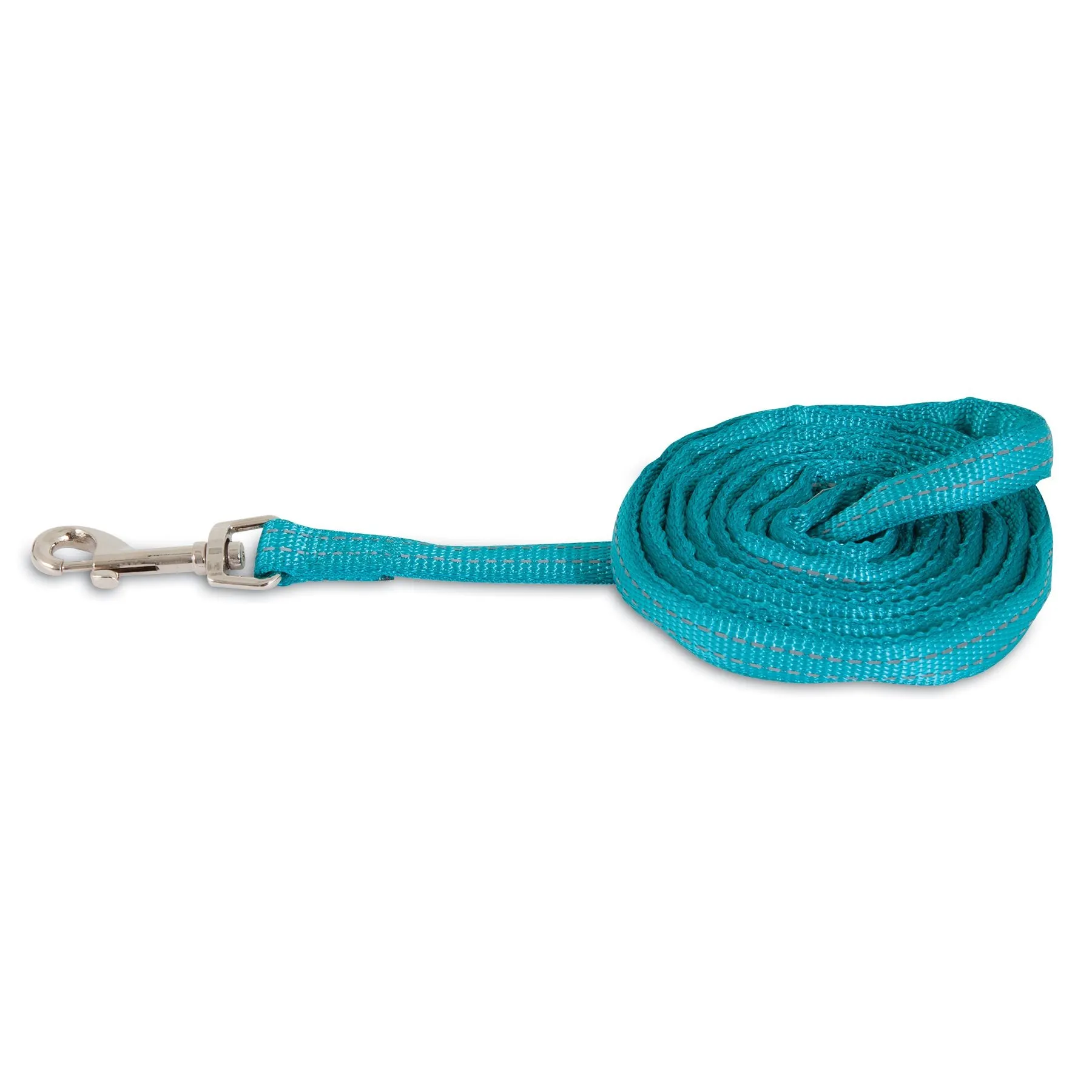 Petmate Padded Reflective Leash