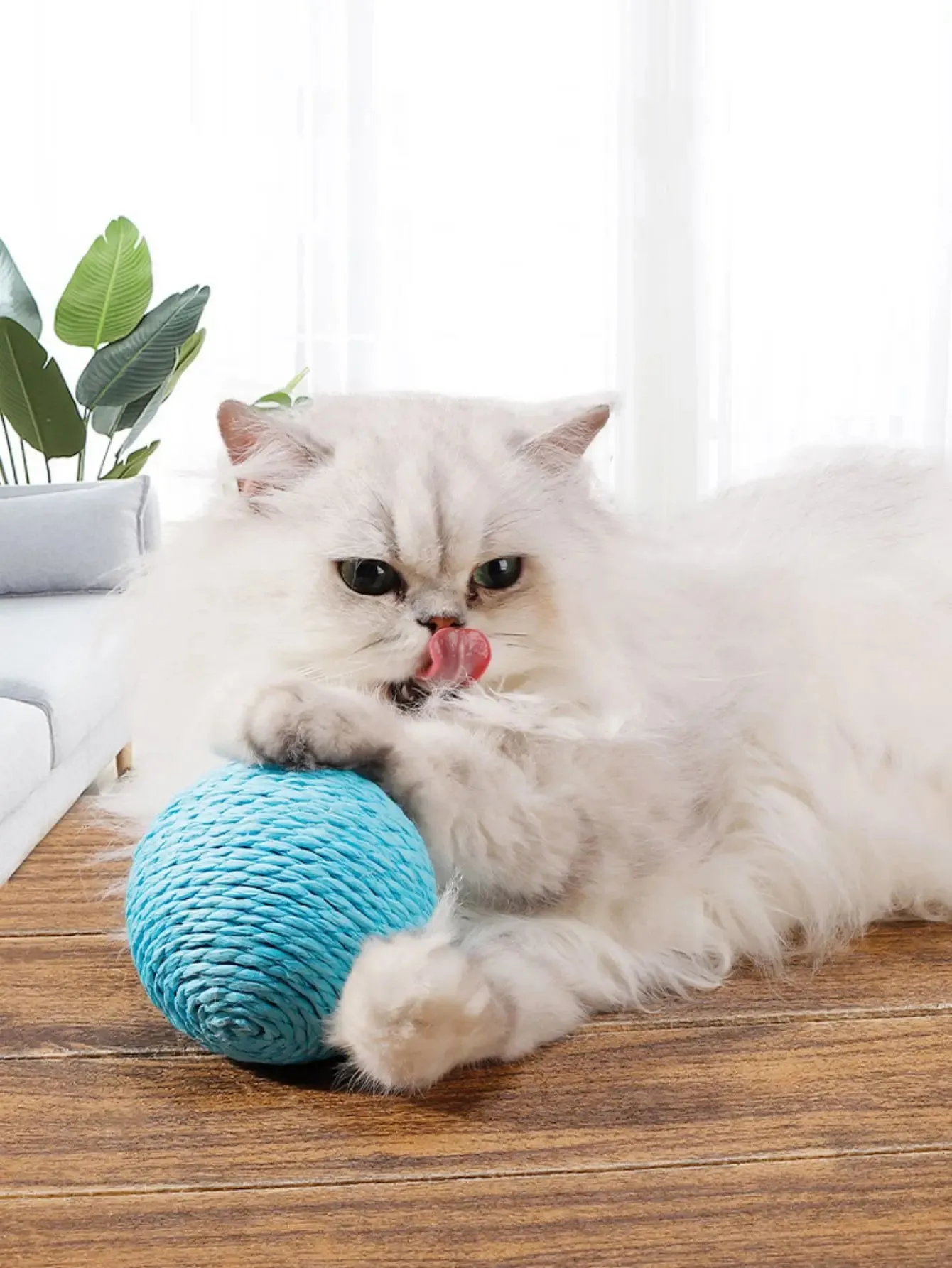 Sisal Cat Scratching Ball Toy – Interactive Kitten Teeth Cleaning Sounding Toy