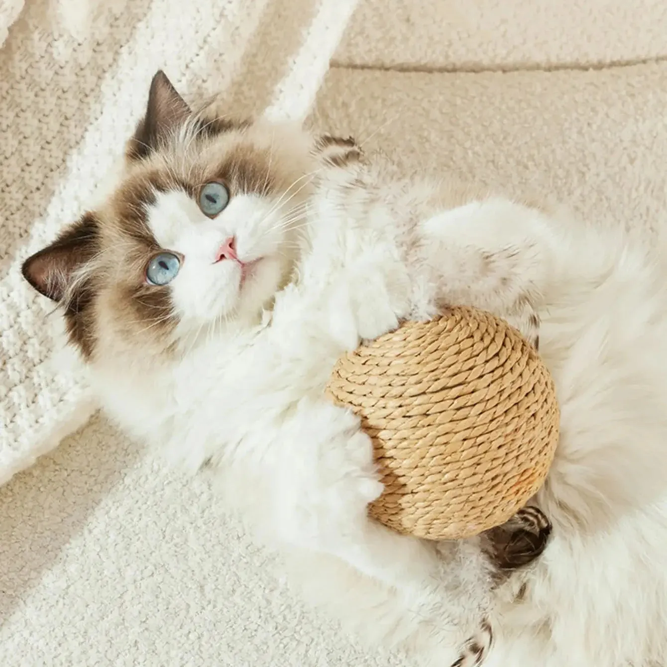 Sisal Cat Scratching Ball Toy – Interactive Kitten Teeth Cleaning Sounding Toy