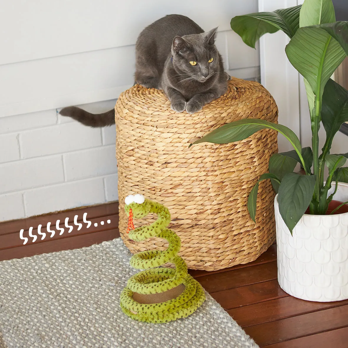 Stimulating Springy Snake