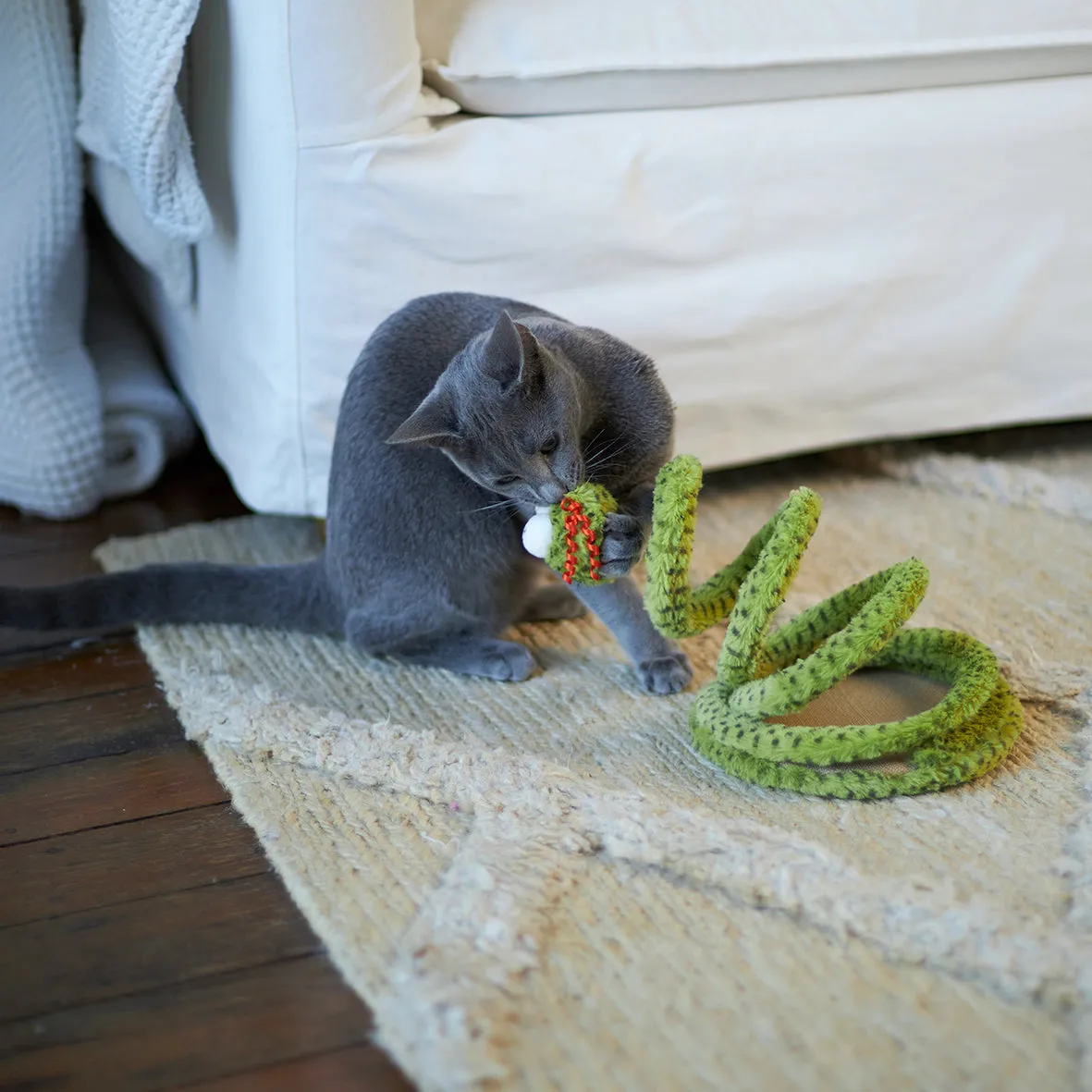 Stimulating Springy Snake