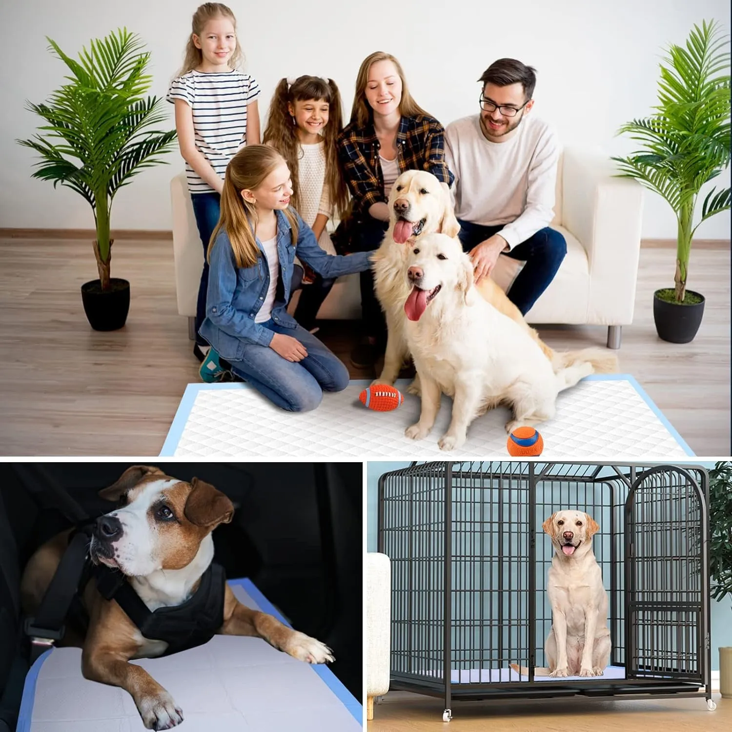 XXL Thicken 6 Layers Heavy Absorbent 30"X36" Pet Training Dog Pee Pads, Extra Large Polymer Leak-Proof Quick Dry Puppy Pee Pads, Disposable Pee Pads for Dogs Cats Rabbit
